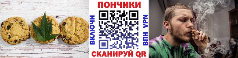 Купить закладки  Скопин  Cannafood конопля 