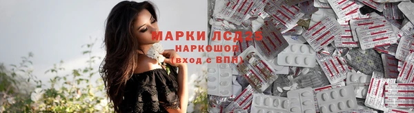 дмт Армянск