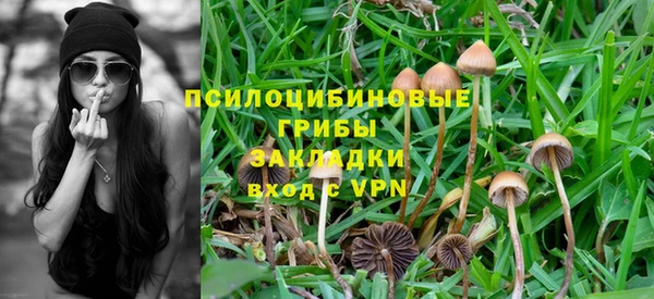 ГАЛЛЮЦИНОГЕННЫЕ ГРИБЫ Баксан