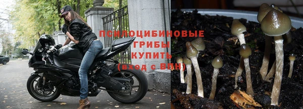 ГАЛЛЮЦИНОГЕННЫЕ ГРИБЫ Баксан