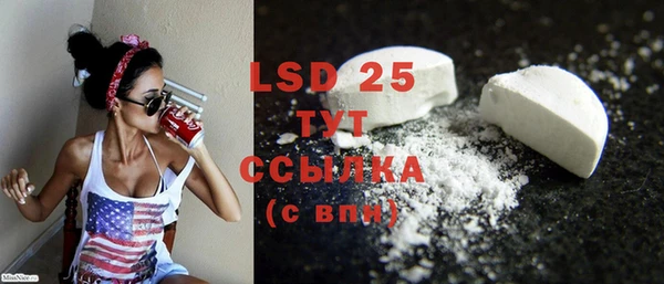 ГАЛЛЮЦИНОГЕННЫЕ ГРИБЫ Баксан