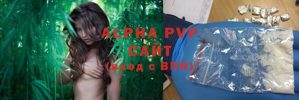 ГАЛЛЮЦИНОГЕННЫЕ ГРИБЫ Баксан